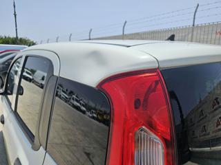 FIAT Panda usata 21