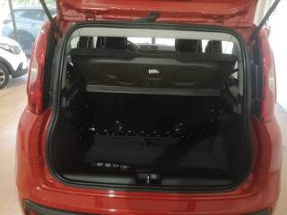 FIAT Panda usata 13
