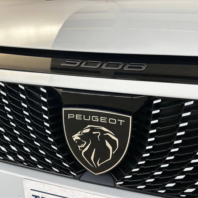 PEUGEOT 3008 usata, con Vivavoce
