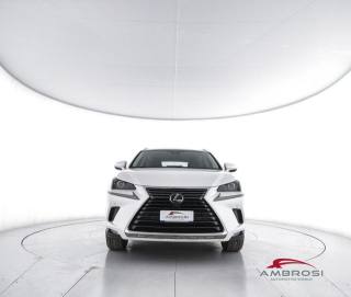 LEXUS NX 300h usata 4