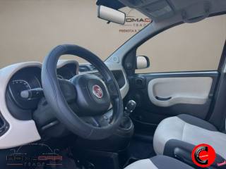 FIAT Panda usata, con Chiusura centralizzata