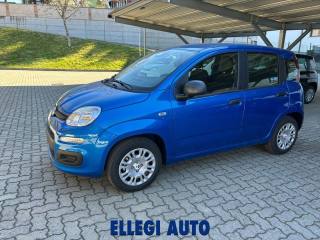 FIAT Panda usata, con Climatizzatore