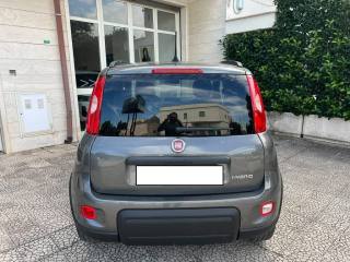 FIAT Panda usata 6