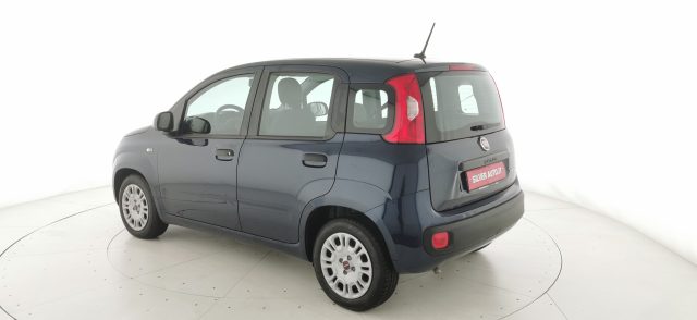 FIAT Panda usata 31