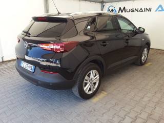 OPEL Grandland X usata, con Fendinebbia