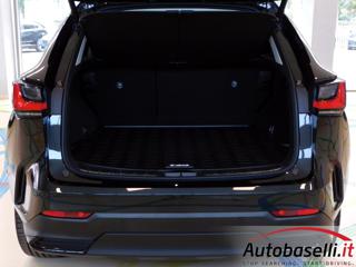 LEXUS NX 300h usata, con Sedile posteriore sdoppiato