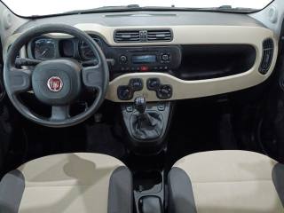FIAT Panda usata, con Immobilizzatore elettronico