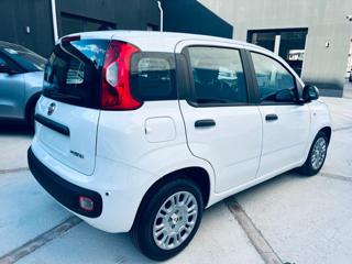 FIAT Pandina usata, con Airbag laterali