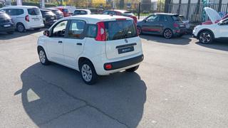 FIAT Panda usata, con Chiusura centralizzata
