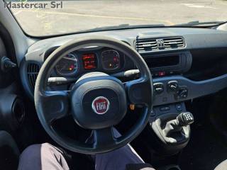 FIAT Panda usata 13
