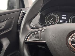 SKODA Karoq usata, con Fendinebbia