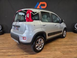 FIAT Panda usata 4