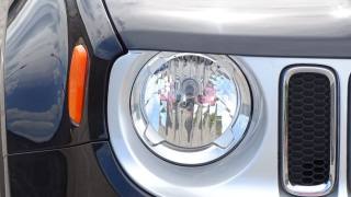JEEP Renegade usata, con Bracciolo