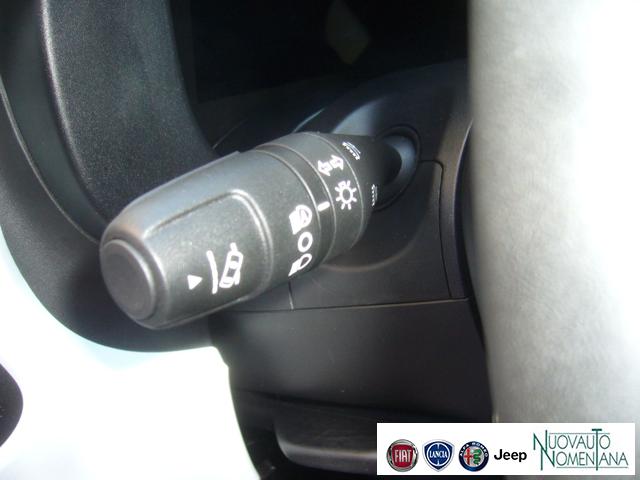 FIAT Panda Cross usata, con Servosterzo