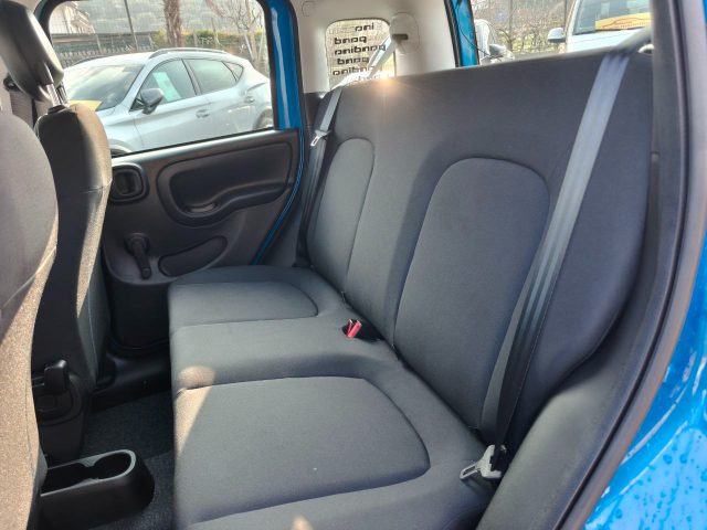 FIAT Panda usata 13