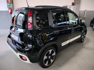 FIAT Panda usata, con Fendinebbia