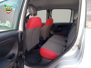 FIAT Panda usata, con Servosterzo