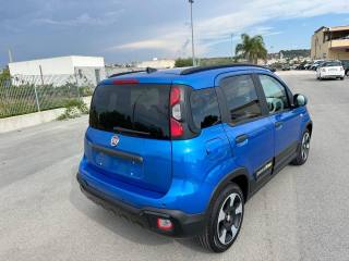 FIAT Panda Cross usata, con Antifurto