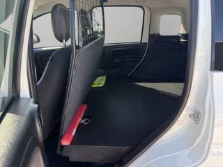 FIAT Panda usata, con Servosterzo