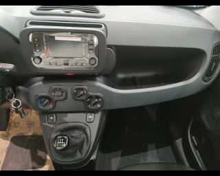 FIAT Panda usata, con Cruise Control