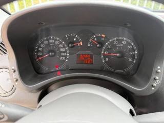 FIAT Panda usata 16