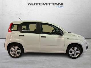 FIAT Panda usata 4