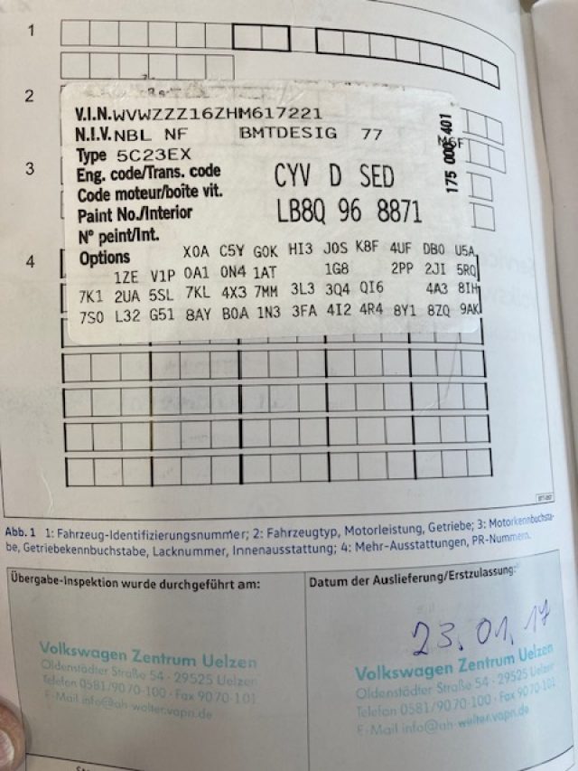 VOLKSWAGEN Maggiolino usata, con Bracciolo