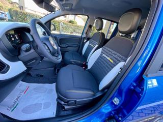 FIAT Panda usata, con Controllo trazione
