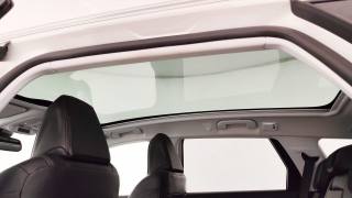 PEUGEOT 308 usata, con Fendinebbia