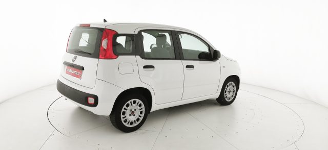FIAT Panda usata 17