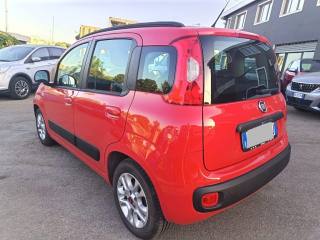 FIAT Panda usata 6