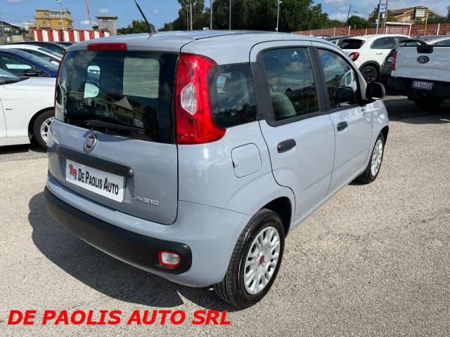 FIAT New Panda usata, con Airbag laterali