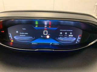 PEUGEOT 3008 usata, con Park Distance Control