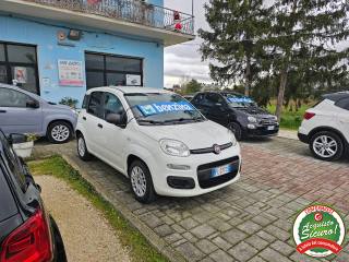 FIAT Panda usata, con Chiusura centralizzata