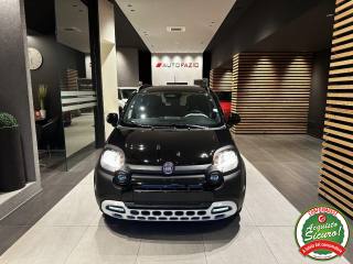 FIAT Panda usata, con Volante multifunzione
