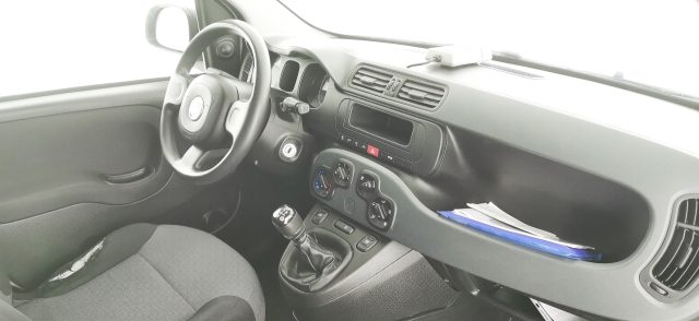 FIAT Panda usata 37