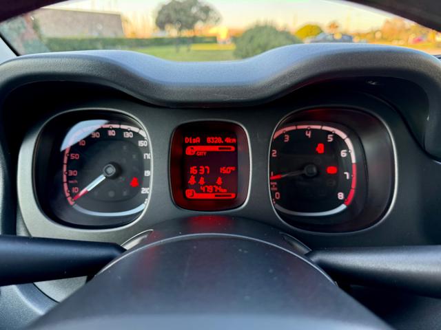 FIAT Panda usata, con Cronologia tagliandi