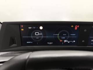 PEUGEOT 5008 usata, con ESP
