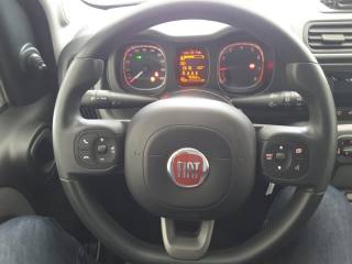 FIAT Panda usata, con Climatizzatore