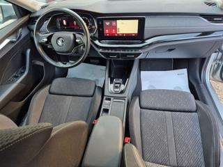 SKODA Octavia usata, con Fendinebbia