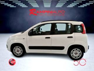 FIAT Panda usata 9