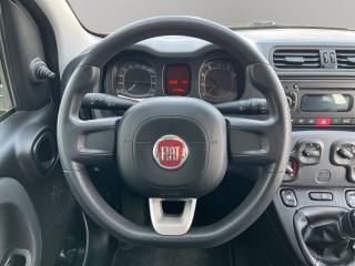 FIAT Panda usata, con Servosterzo