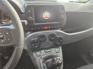 FIAT Panda usata, con Controllo trazione