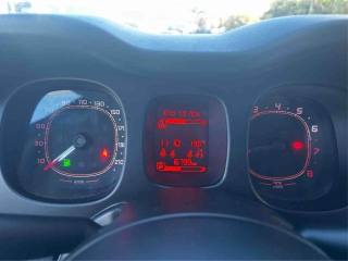 FIAT Panda usata, con Cronologia tagliandi