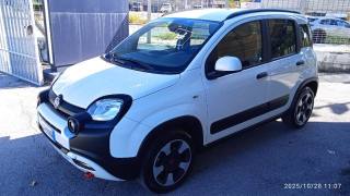 FIAT Panda Cross usata, con Climatizzatore