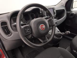 FIAT Panda Cross usata, con Controllo automatico clima