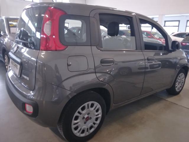 FIAT Panda usata, con Alzacristalli elettrici