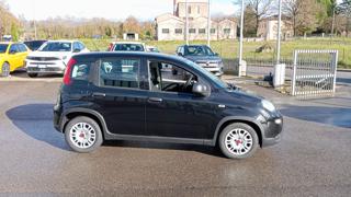 FIAT Panda usata, con Alzacristalli elettrici