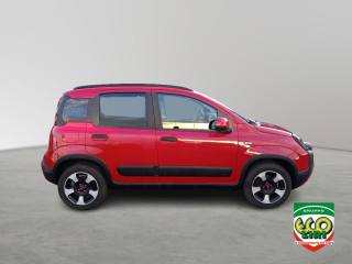 FIAT Panda Cross usata, con Antifurto