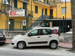 FIAT Panda 1.2 Easy 5 Posti